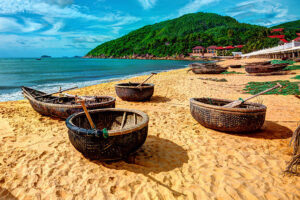 quy nhon mare