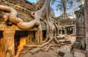 il Tempio di Ta Prohm