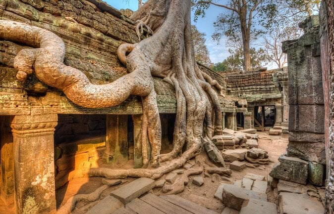 il Tempio di Ta Prohm
