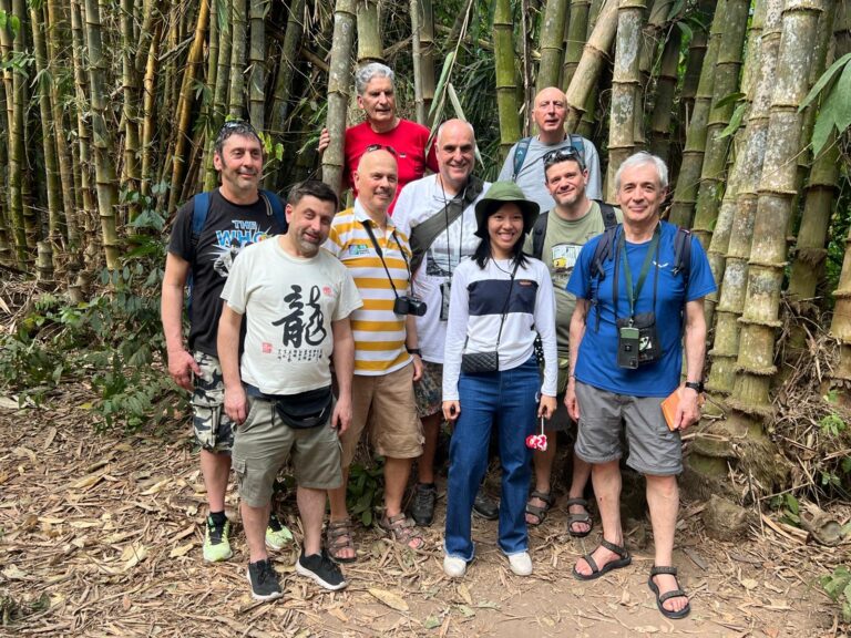 testimoniza Giro Asia Travel 1