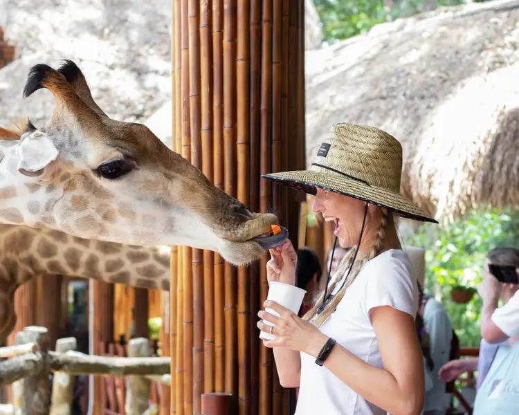 Vinpearl Safari - Cosa vedere a Phu Quoc