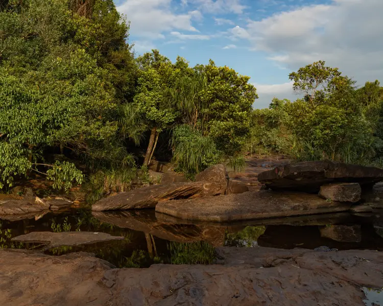 Il Parco Nazionale di Phu Quoc - Cosa vedere a Phu Quoc