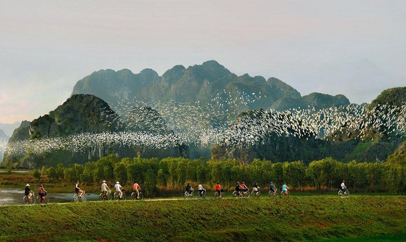 Il Giardino degli Uccelli di Thung Nham è un paradiso per gli amanti del birdwatching a Ninh Binh