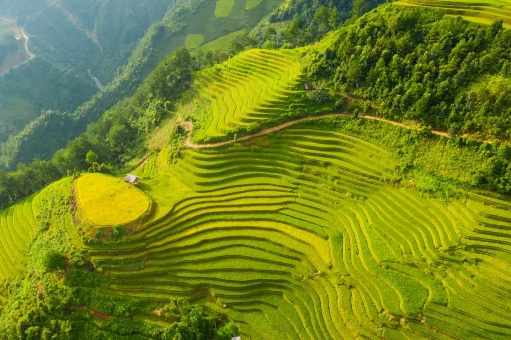 Mu Cang Chai, nella stagione delle rigogliose risaie verdi, è piena di vitalità.