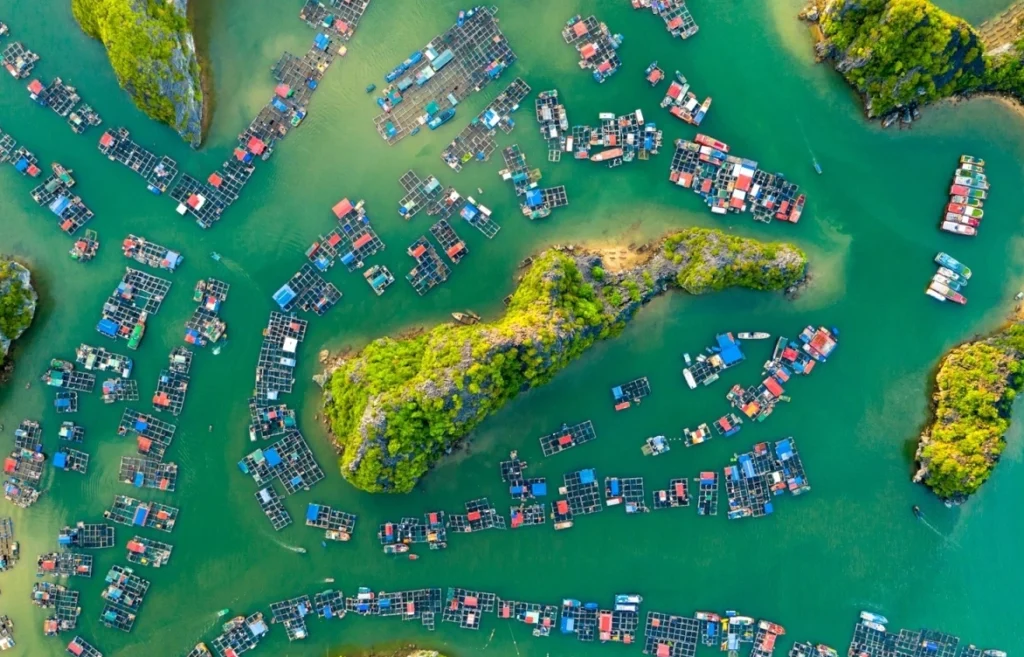 Villaggio galleggiante di Cai Beo